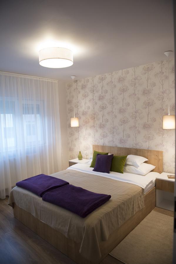 Smp Apartment 2 Timisoara Exterior foto