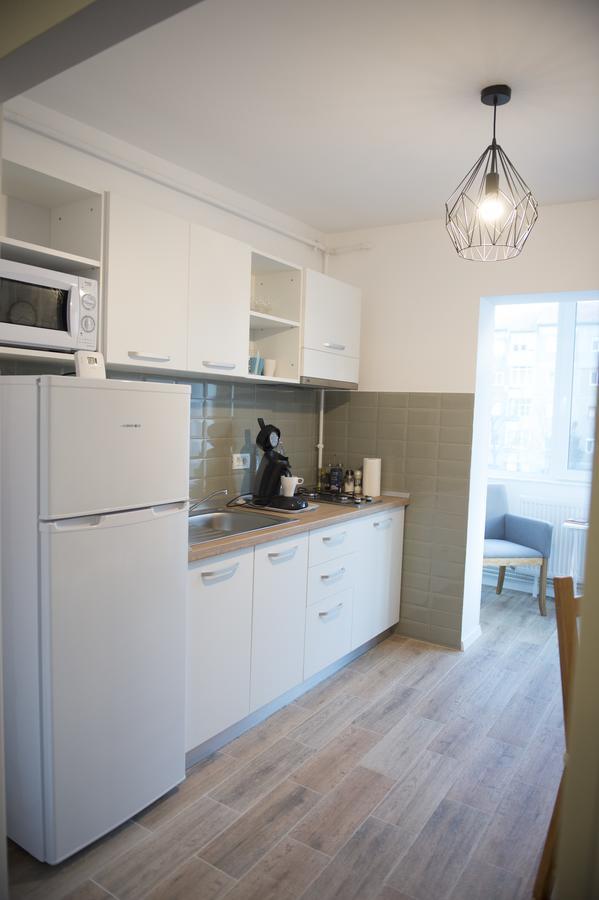 Smp Apartment 2 Timisoara Exterior foto